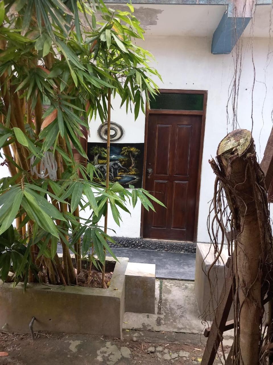 Suninn Hostel And Surf School Weligama Exterior foto